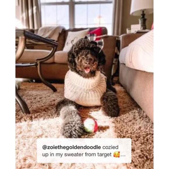 NEW Puppy Dog PET SWEATER & HAT OUTFIT Set LG Cream Knit Boots Barkley to 80lb - Picture 5 of 11